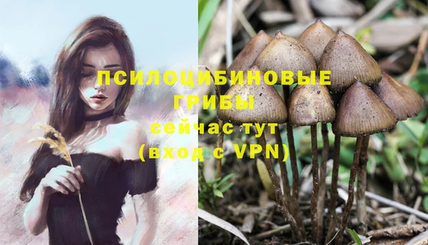 амфетамин Майский