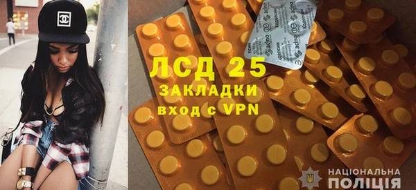 эйфоретик Магас