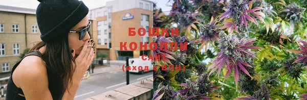 эйфоретик Магас